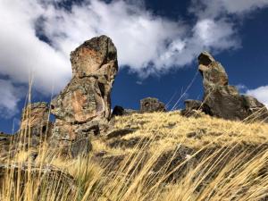 Bosque de Piedra de Sachapite